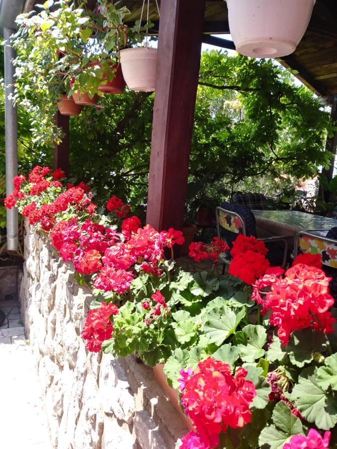 Guest House Djurdjica 德拉马利 外观 照片