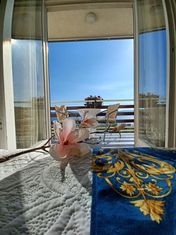 Guest House Djurdjica 德拉马利 外观 照片