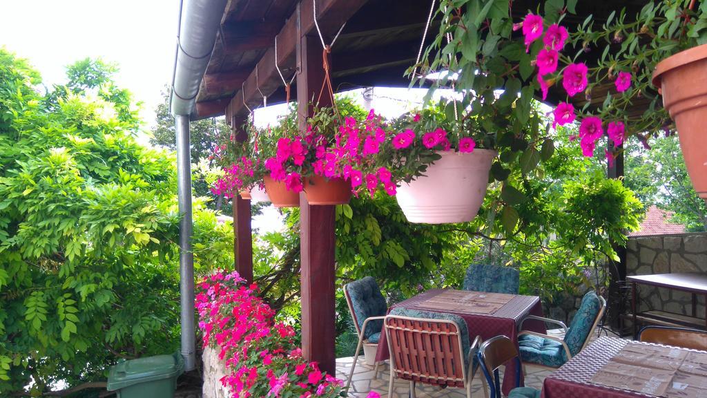 Guest House Djurdjica 德拉马利 外观 照片