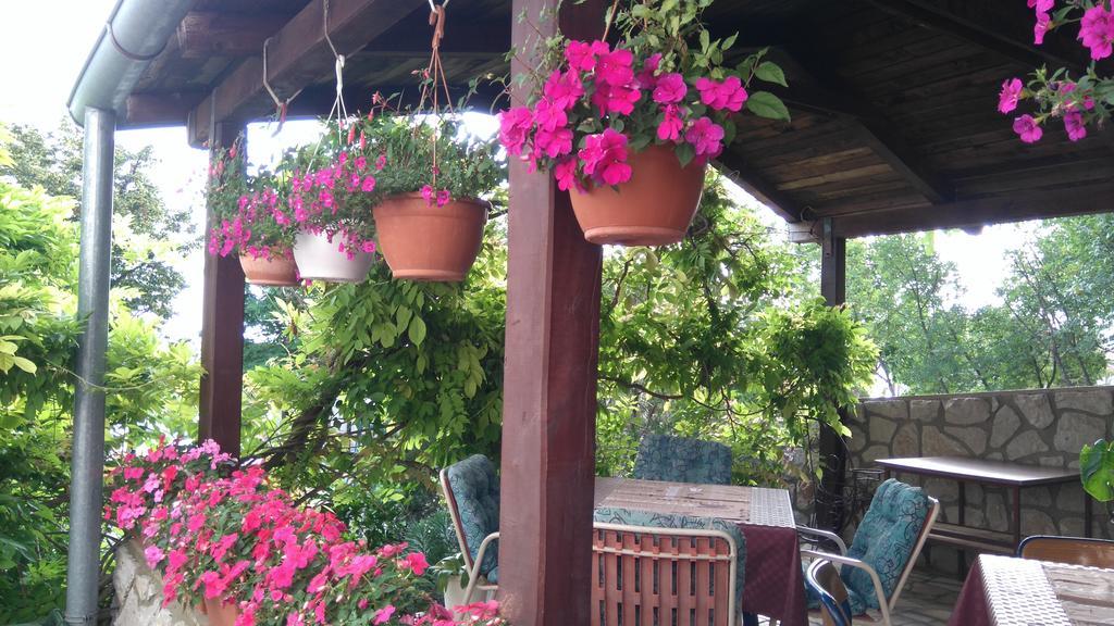Guest House Djurdjica 德拉马利 外观 照片
